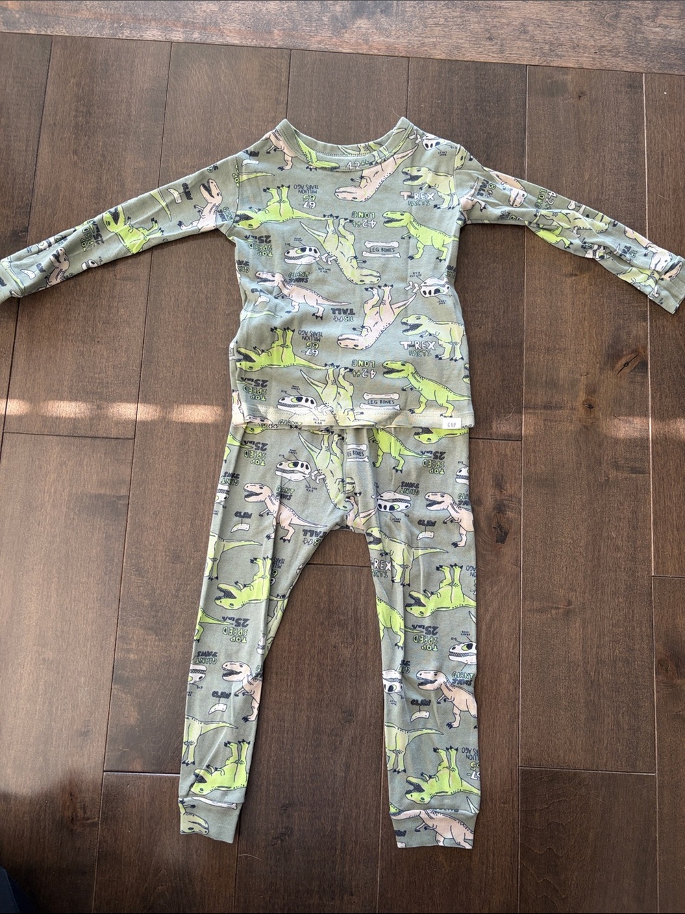GAP Boys Green and Tan Dinosaur Pajama Set